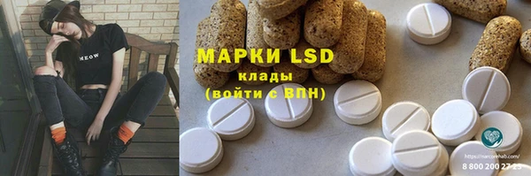 трава Няндома