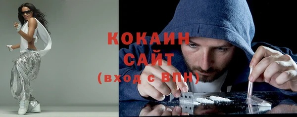 трава Няндома