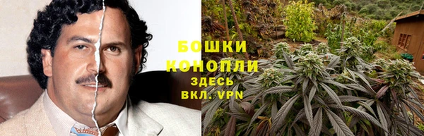 трава Няндома