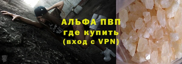 трава Няндома