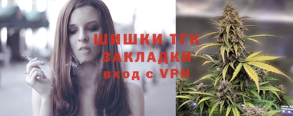 трава Няндома