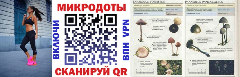 Псилоцибиновые грибы прущие грибы купить Трубчевск